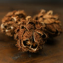 Bouquet Of Dried Protea
