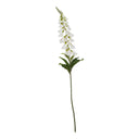 The Natural Garden Collection White Foxglove