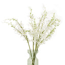 White Cymbidium Spray