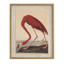 Flora & Fauna Collection Flamingo On Linen In Beaded Frame