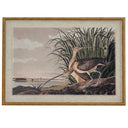 Flora & Fauna Collection Curlews On Linen In Beaded Frame