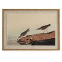 Flora & Fauna Collection Stints On Linen In Beaded Frame