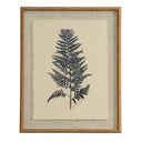 Flora & Fauna Collection Beech Fern On Linen In Beaded Frame