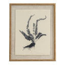 Flora & Fauna Collection Spleenwort On Linen In Beaded Frame
