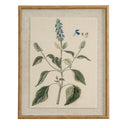 Flora & Fauna Collection Salvia On Linen In Beaded Frame