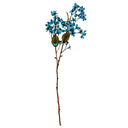 Blue Vernicia Fordii Spray