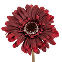 Burgundy Gerbera Stem