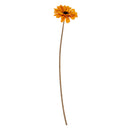 Orange Gerbera Stem