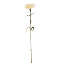 Cream Carnation Stem