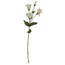 White Lisianthus Spray
