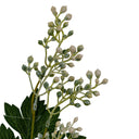 Milk Thistle Bud Spray