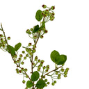 Green Mossberry Large Branch