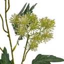 Green French Meadow Spray