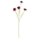 Burgundy Cornflower Stem