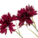 Burgundy Cornflower Stem