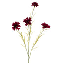 Burgundy Cornflower Stem