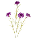 Purple Cornflower Stem